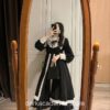 Long Sleeve Stand Collar Gothic Academia  Dress